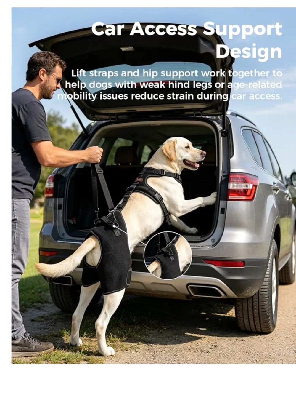 Lispoo Dog Hip Support Brace-Adjustable Dog Leg Brace for Hip Dysplasia-L